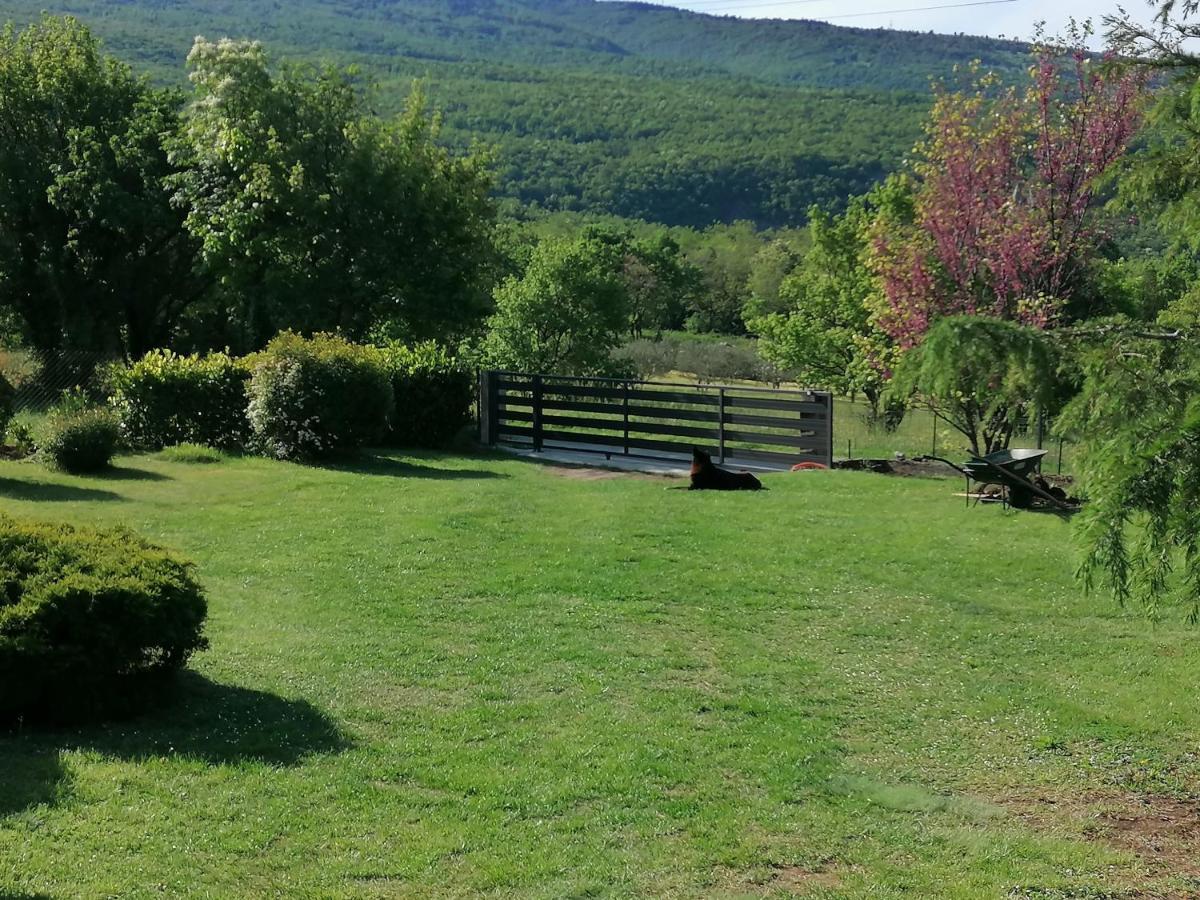 Villa Kuca Sonja Vranje Esterno foto