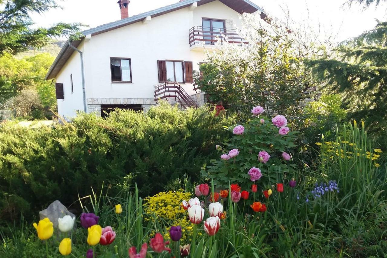 Villa Kuca Sonja Vranje Esterno foto