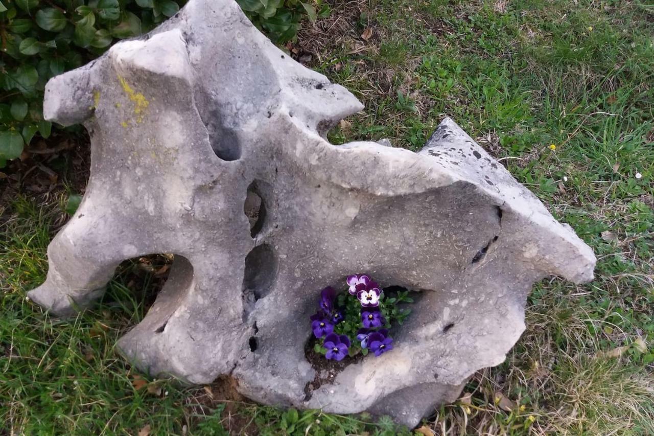 Villa Kuca Sonja Vranje Esterno foto